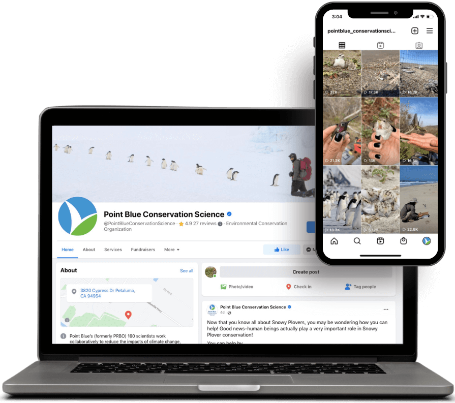 Computer_PhoneMockupPB