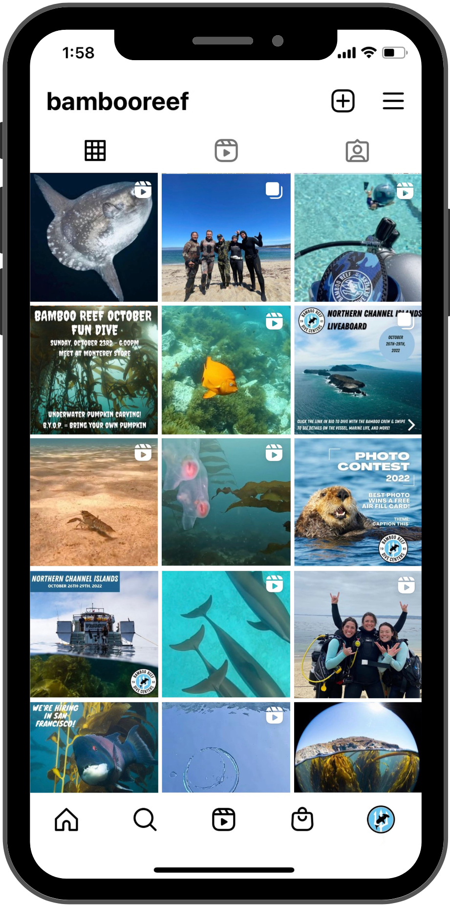 GridPhoneScreenMockupBR