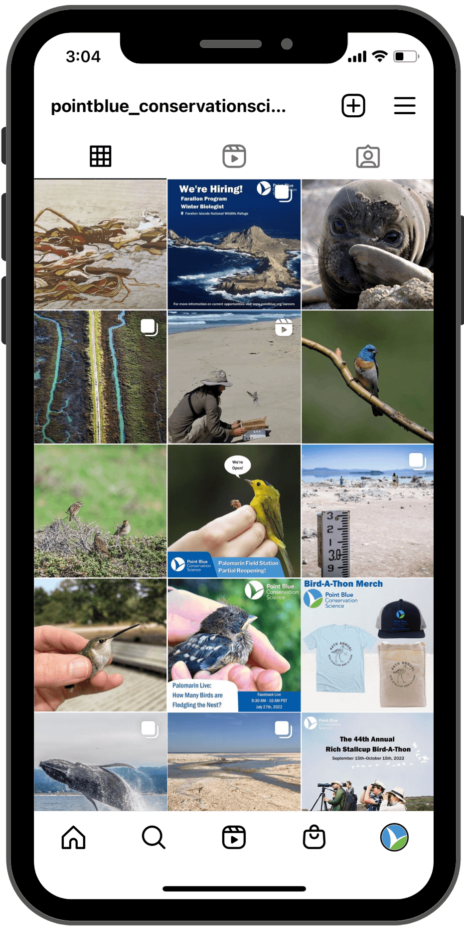 GridPhoneScreenMockupPB