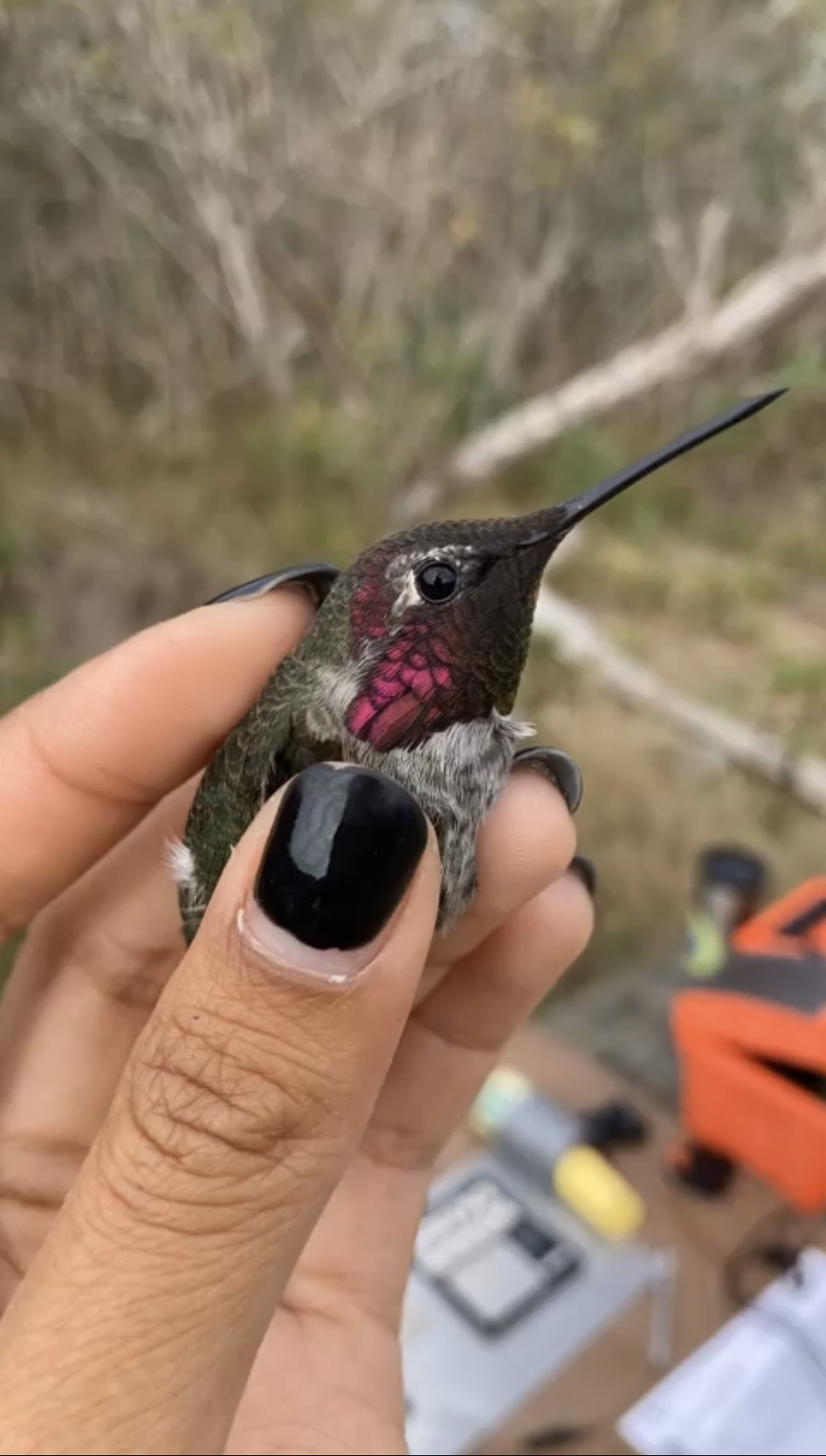 Post#11CoverImage(Vertical)