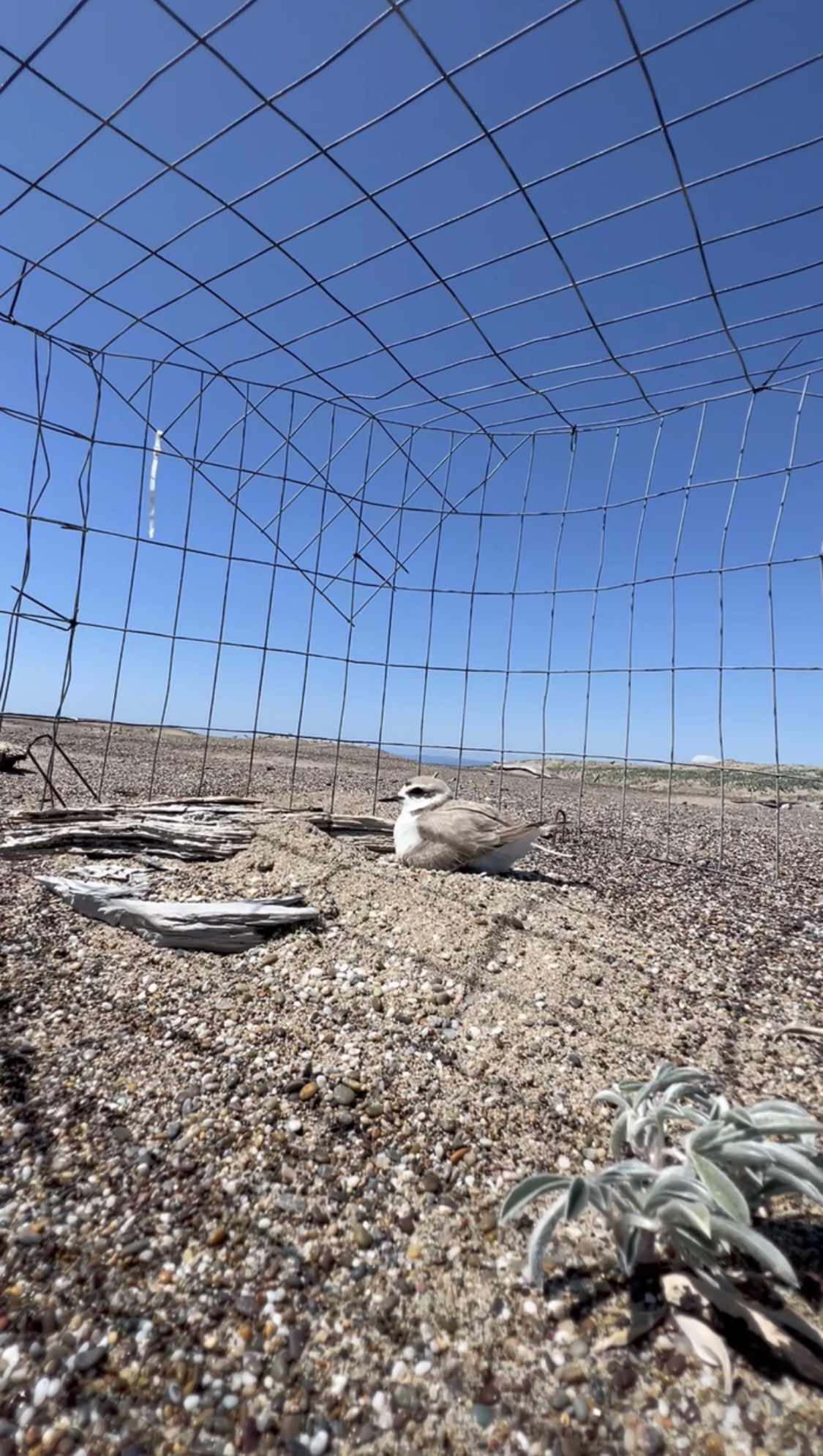 Post#16CoverImage(Vertical)