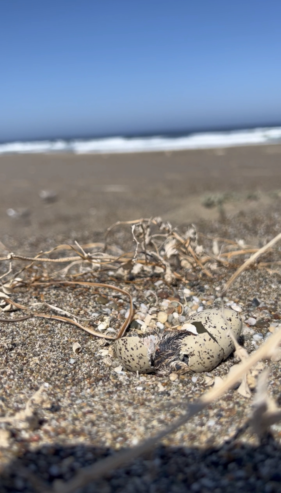 Post#18CoverImage(Vertical)