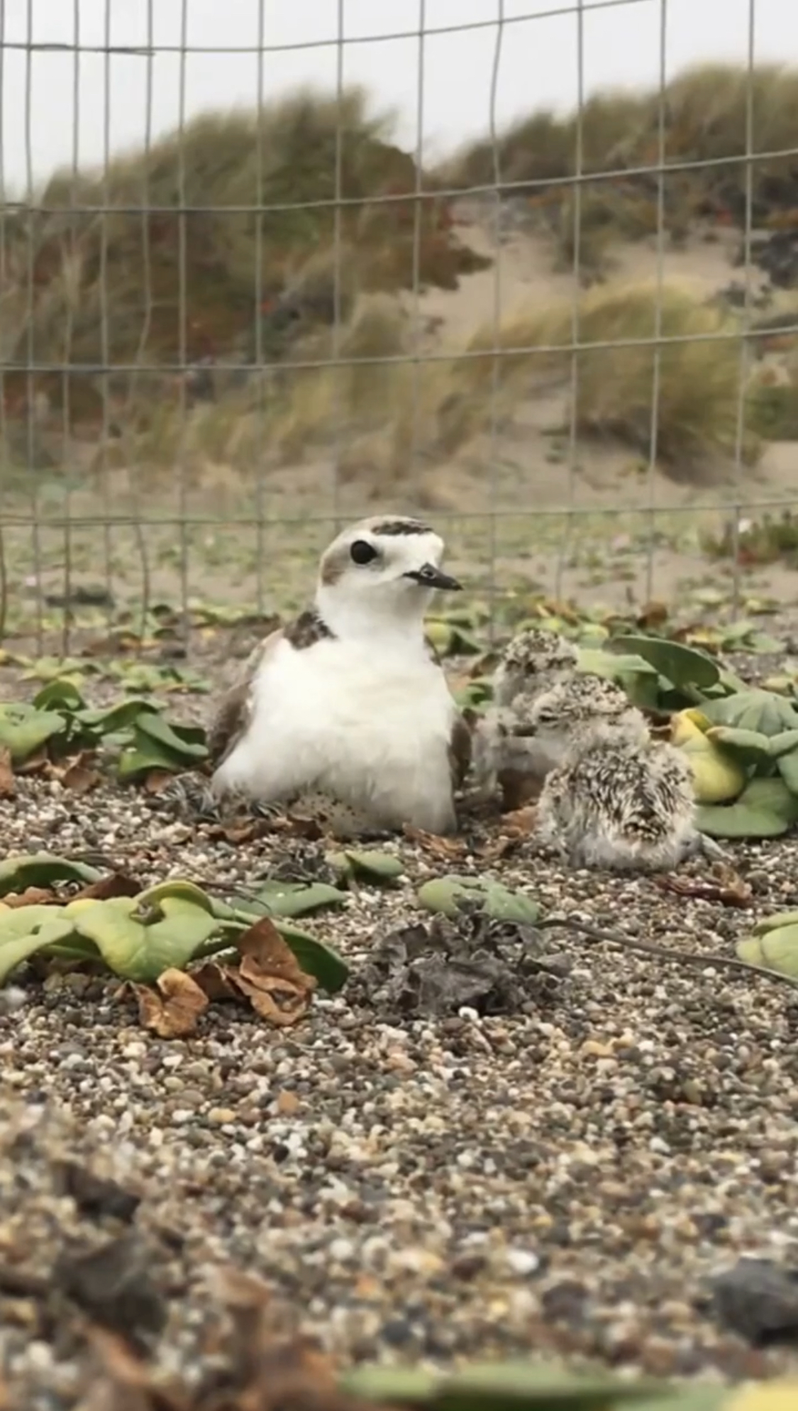 Post#19CoverImage(Vertical)