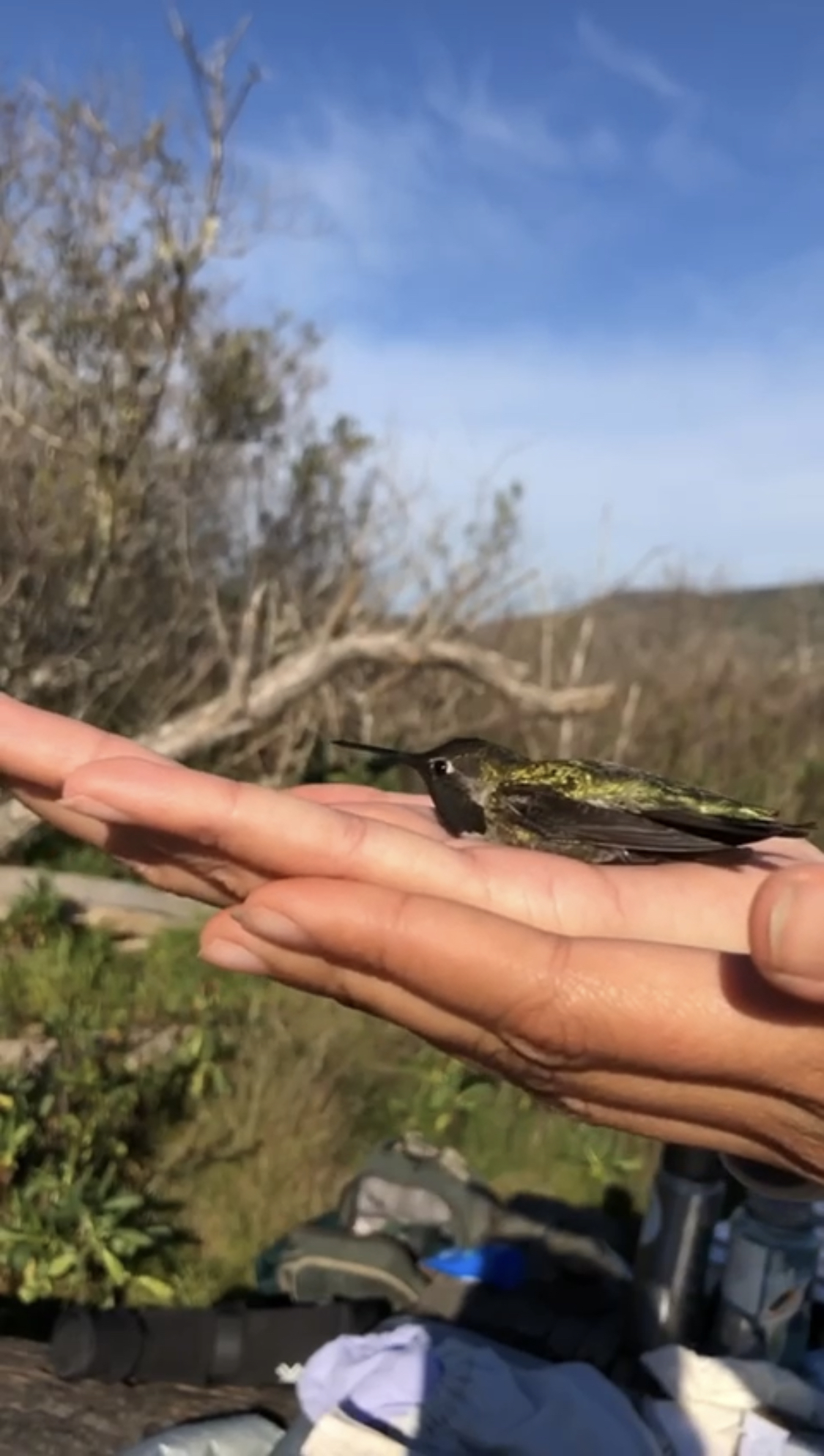 Post#6CoverImage(Vertical)