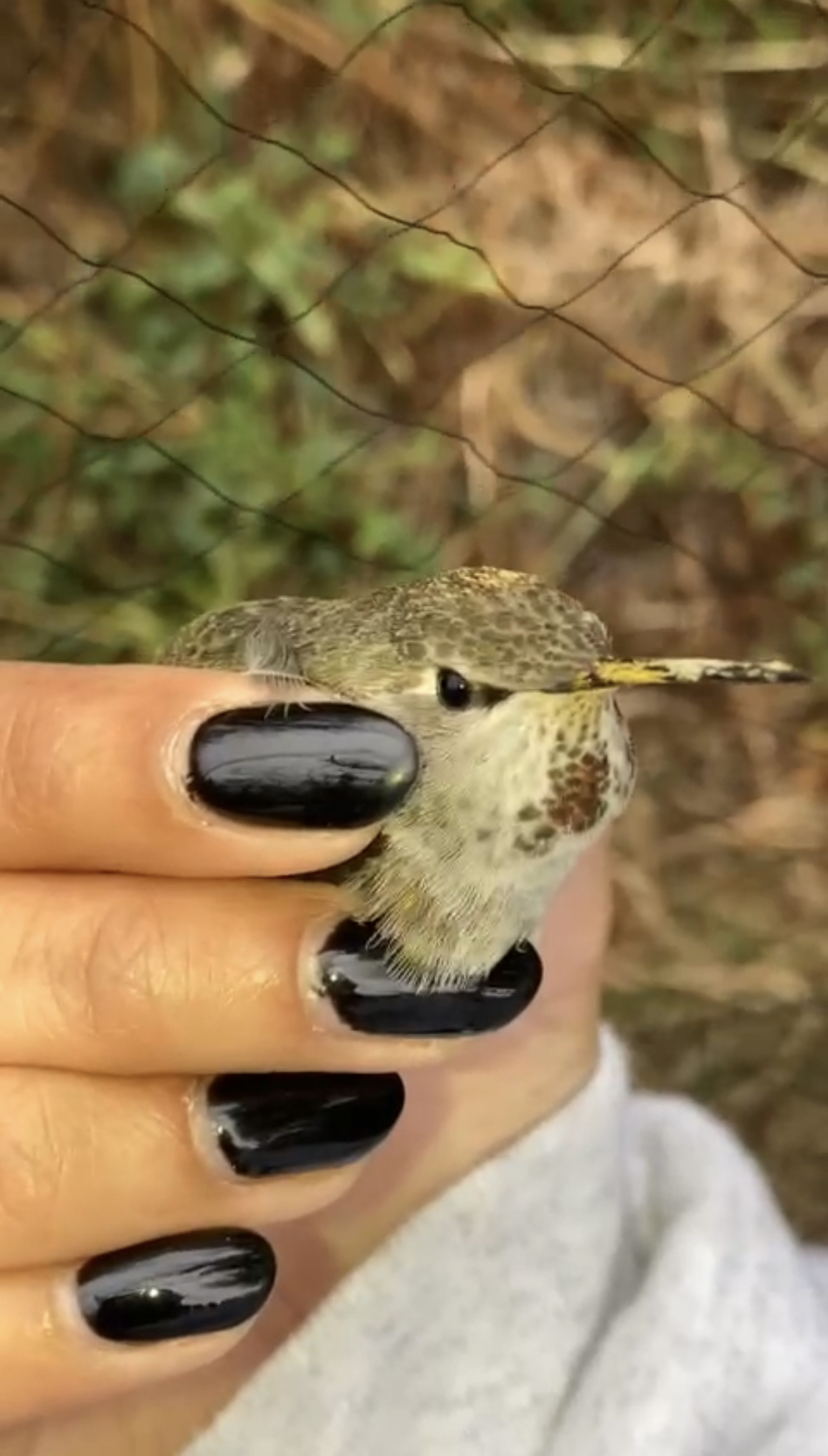 Post#7CoverImage(Vertical)