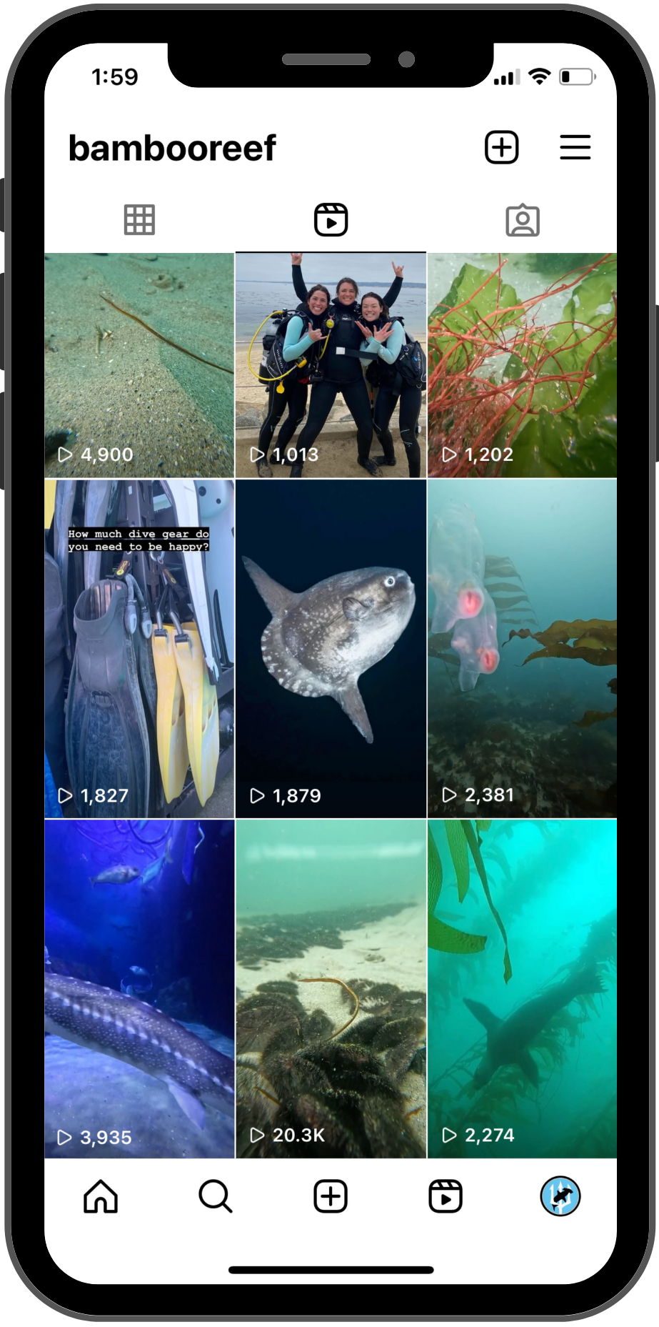 ReelPhoneScreenMockupBR